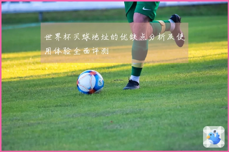 世界杯买球地址的优缺点分析及使用体验全面评测