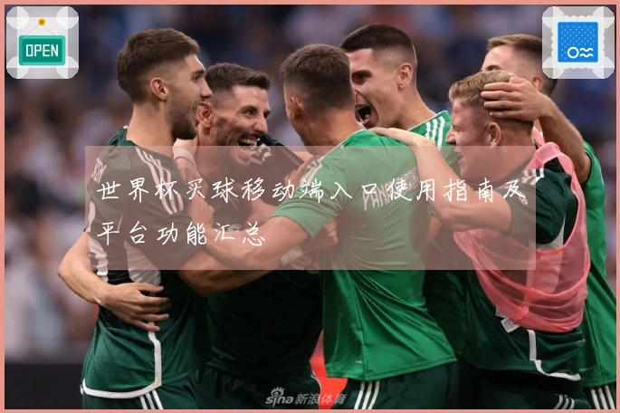 世界杯买球移动端入口使用指南及平台功能汇总